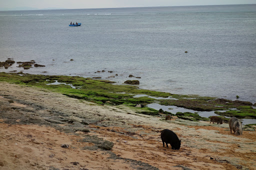 Timor Leste 2: Backpacken für Fortgeschrittene oder derGemüsewagen-Incident